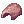 solid shell